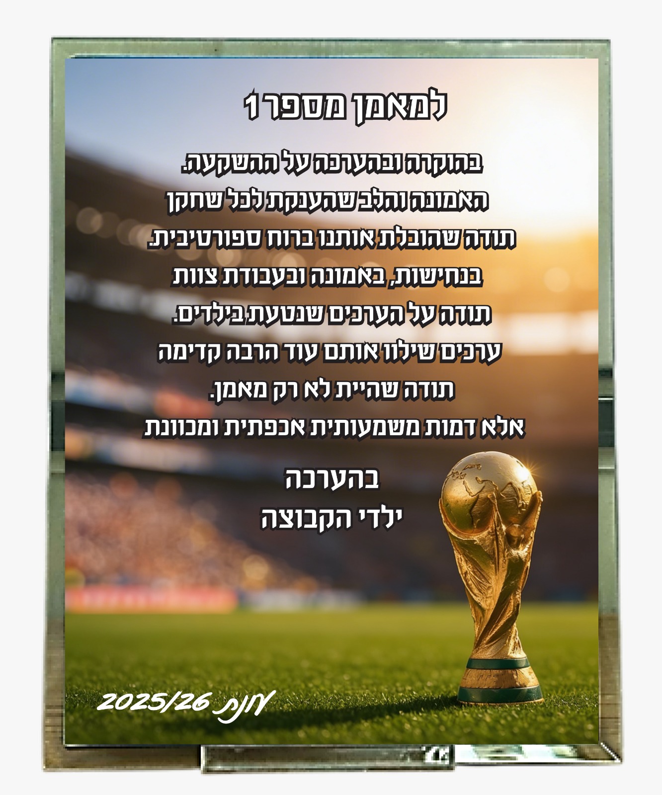 מגן זכוכית סובלימציה מלבני (MC2000)